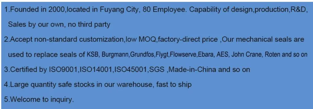 Mechanical Seal Variety 1