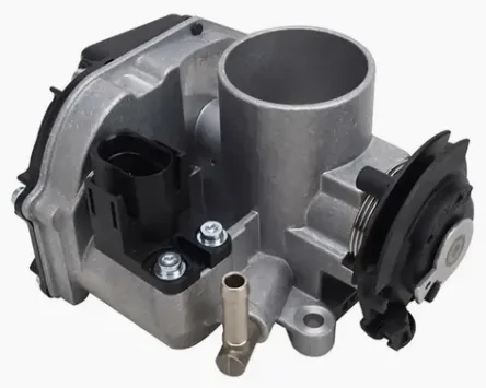 VW Throttle Body