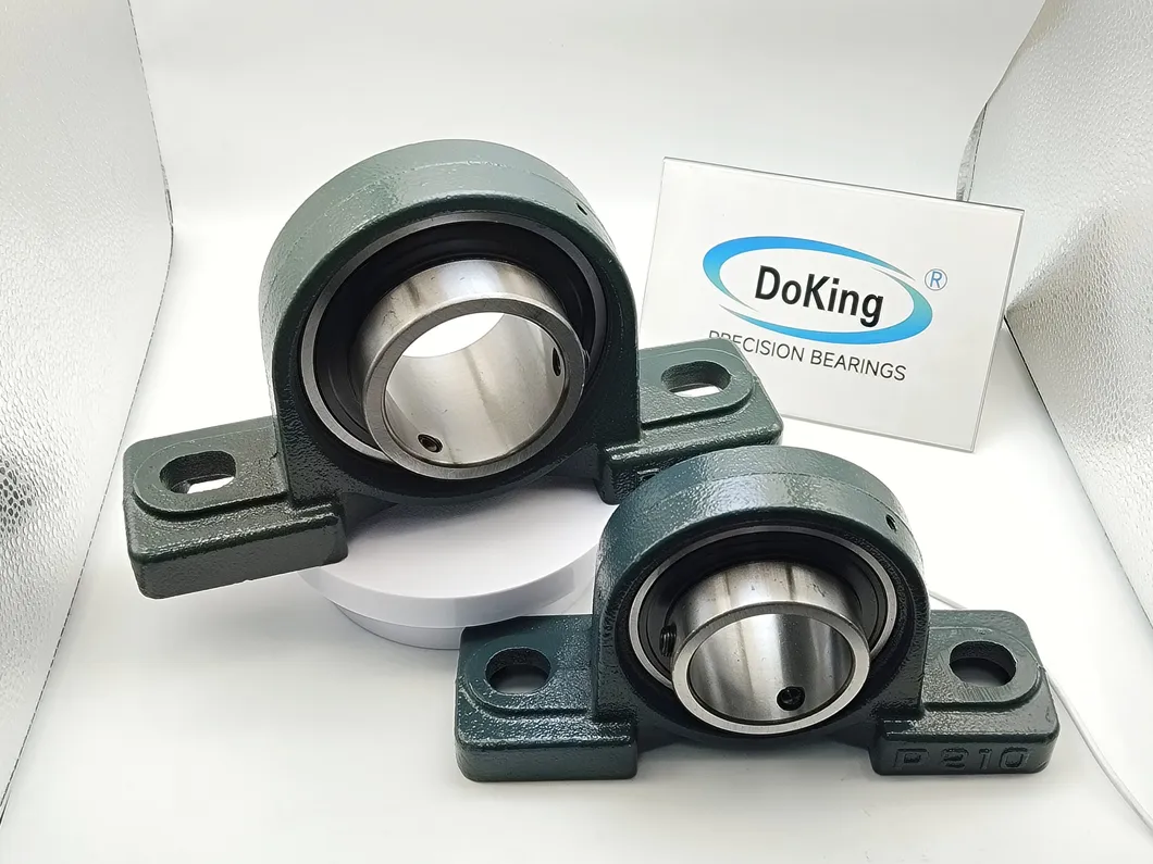 Pillow Block Bearing 5
