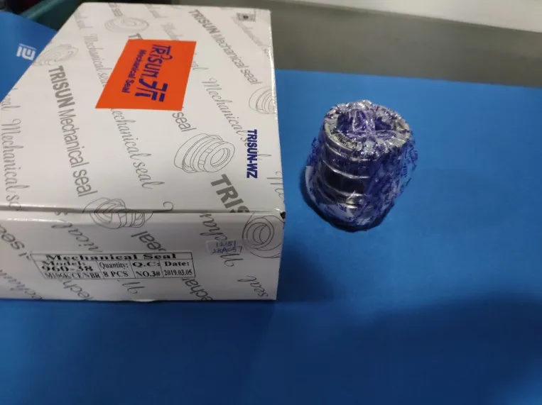 Mechanical Seal TS 960