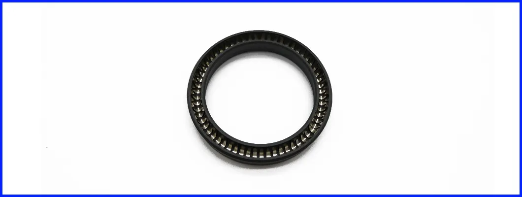 Spring Energized Seal Detail