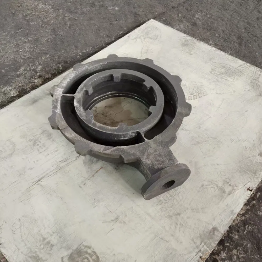 Custom Power Transmission Metal Part Ductile Roll Grey Iron Auto Pump Valve Sand Casting Components