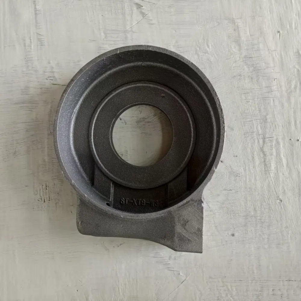 Custom Power Transmission Metal Part Ductile Roll Grey Iron Auto Pump Valve Sand Casting Components