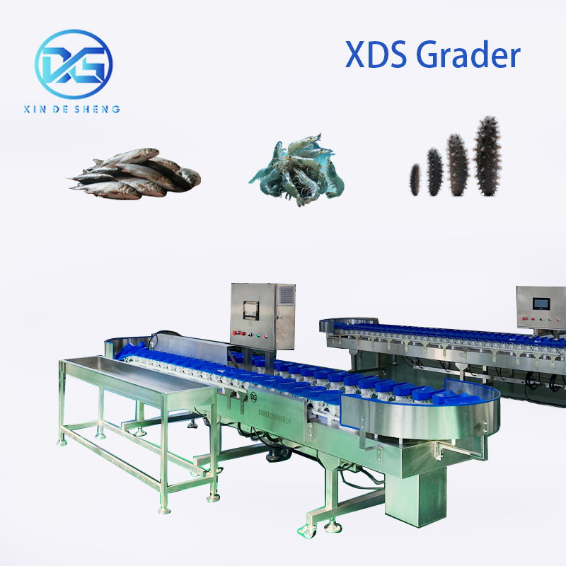 High-Precision Scallop Oyster Sorting Equipment Auto Grading by Weight
