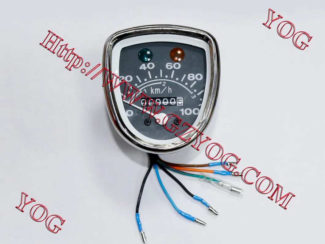 Speedometer Detail 3