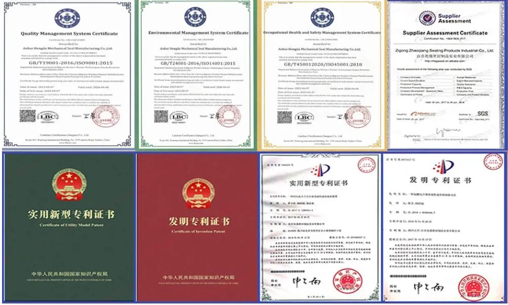 Mechanical Seal Variety 3