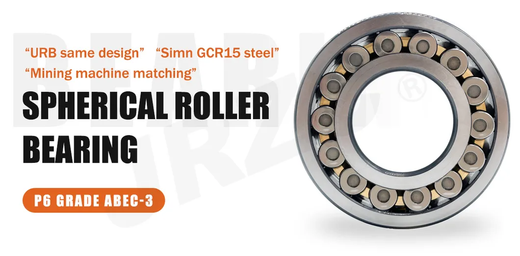 Spherical Roller Bearing Structure