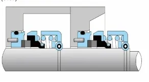Mechanical Seal Details