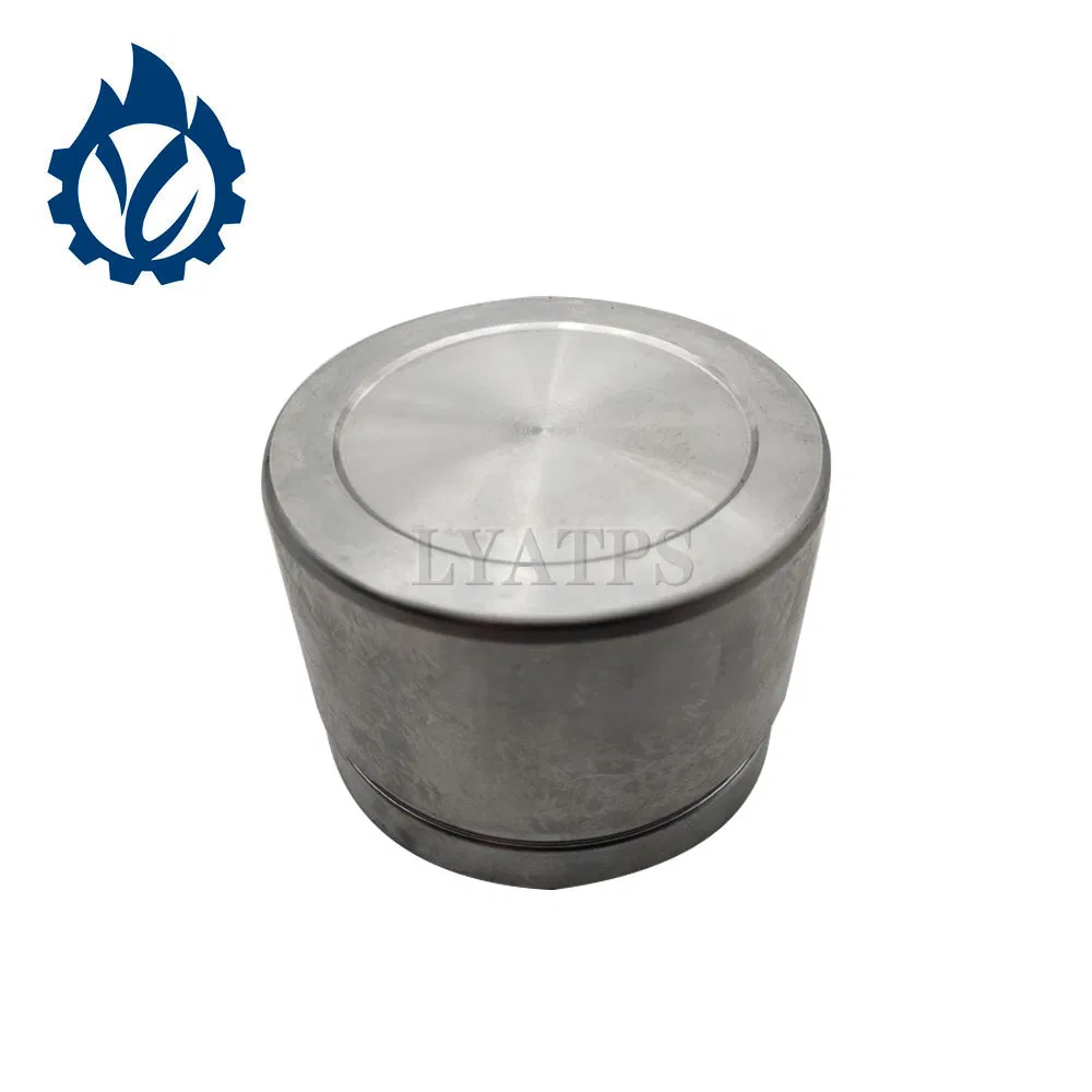 Brake System Piston 5