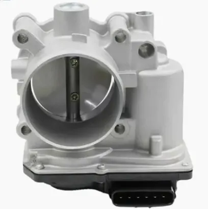 Hyundai Throttle Body