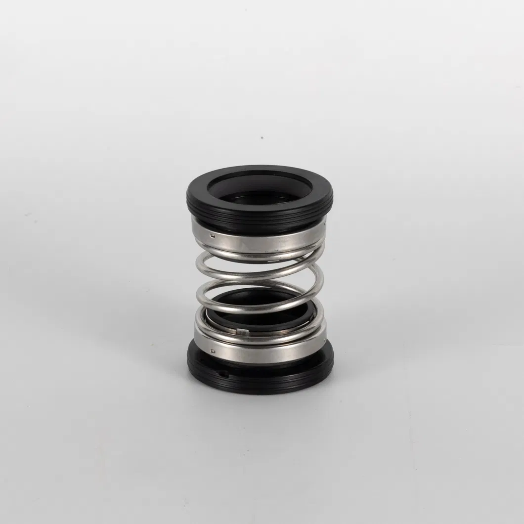 Mechanical Seal View 1