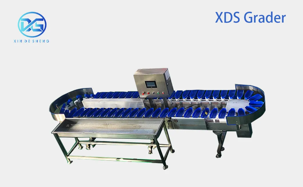 Detailed Equipment View