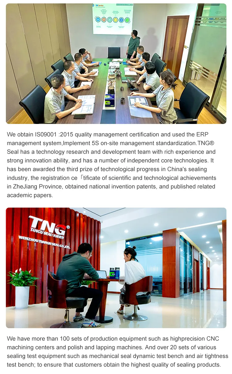 Mechanical Seal Specifications