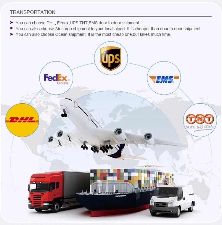 Company Services and Global reach