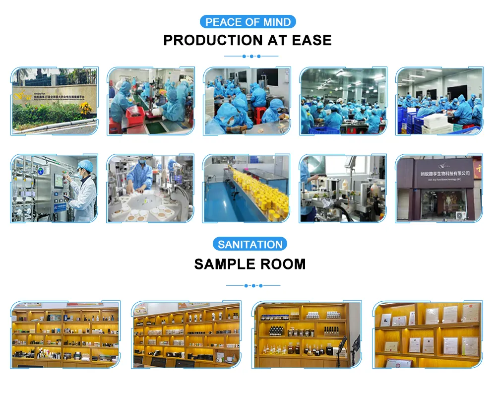 Production Facility