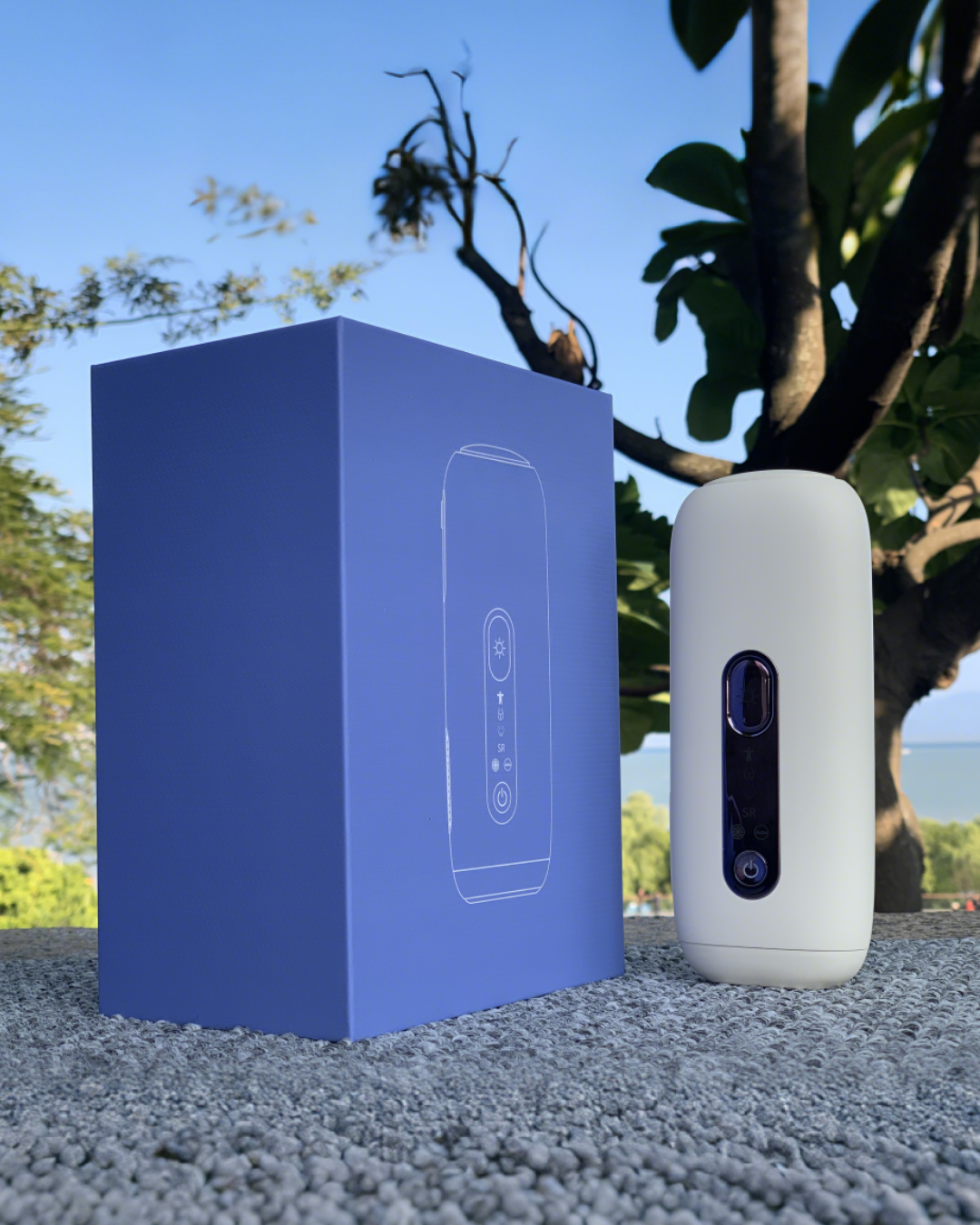 Packaging Layout