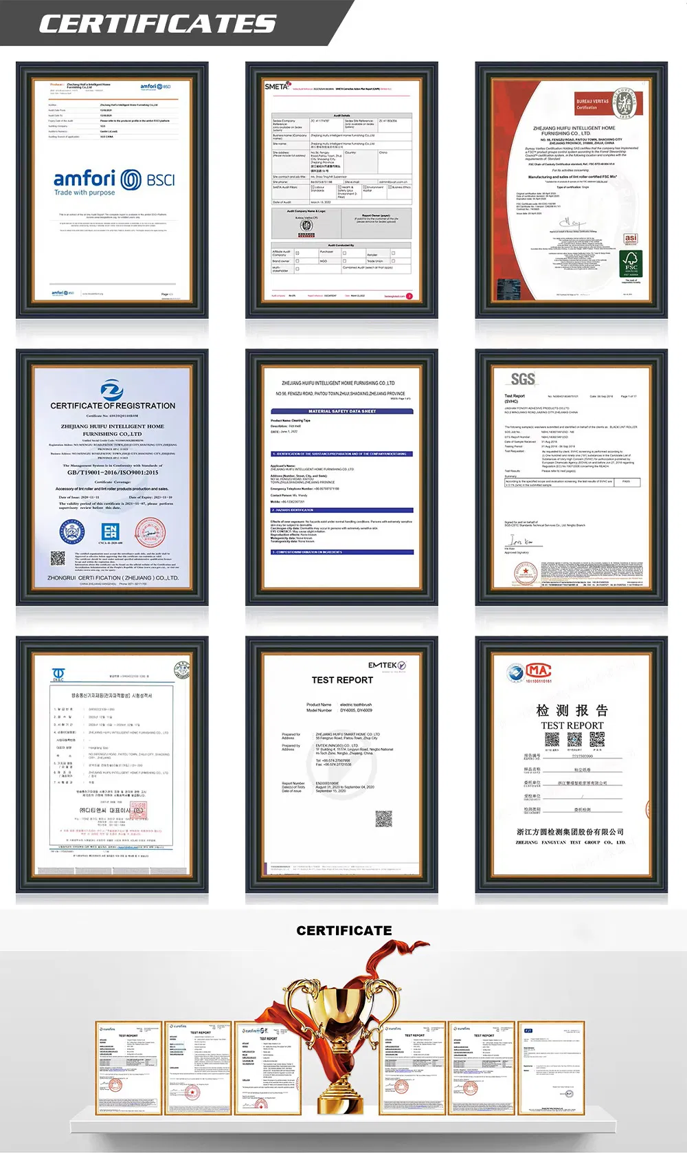 High Professional Widely Used Pet Hair Removal