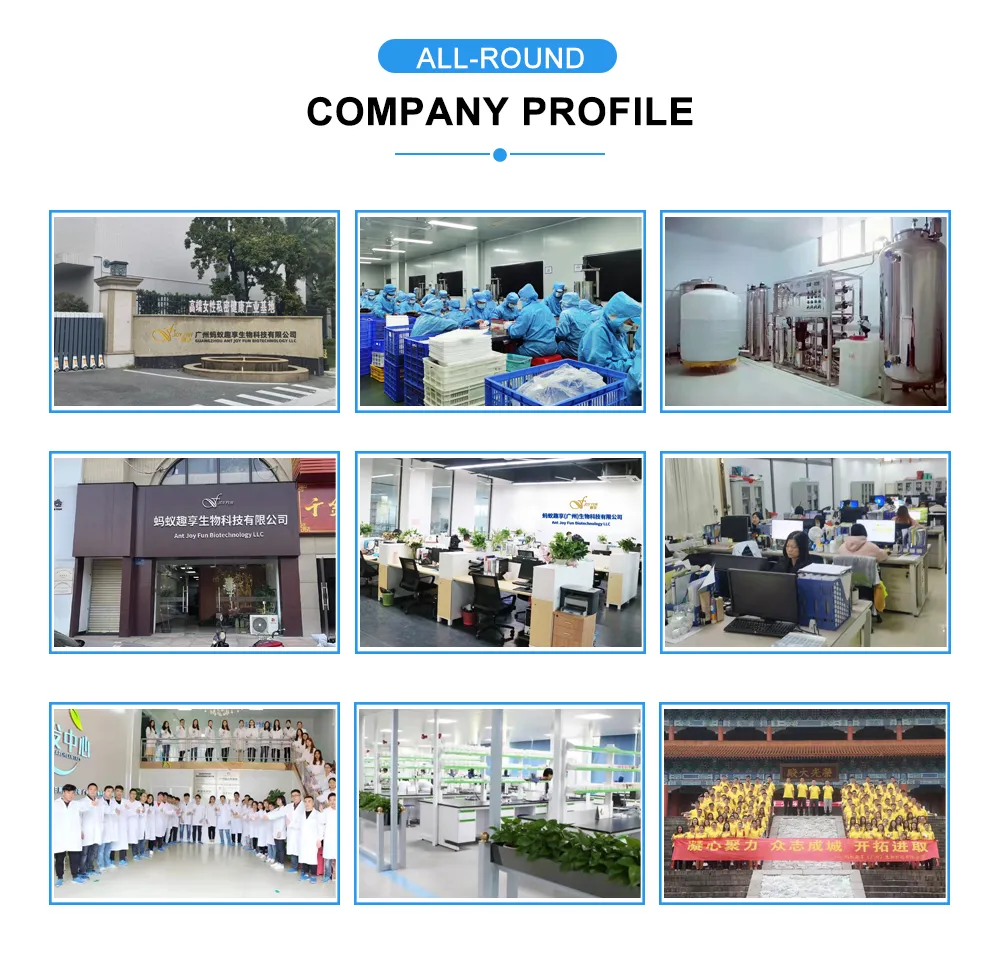 Corporate Environment and Operations