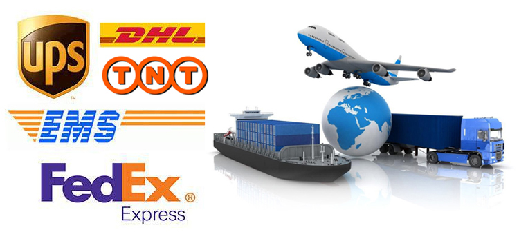 Shipping and Logistics Options