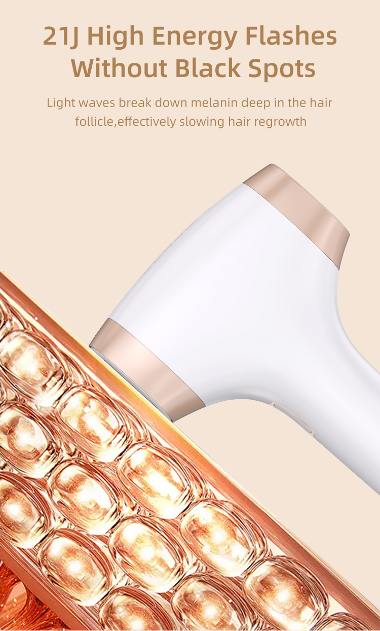 IPL Detail 7