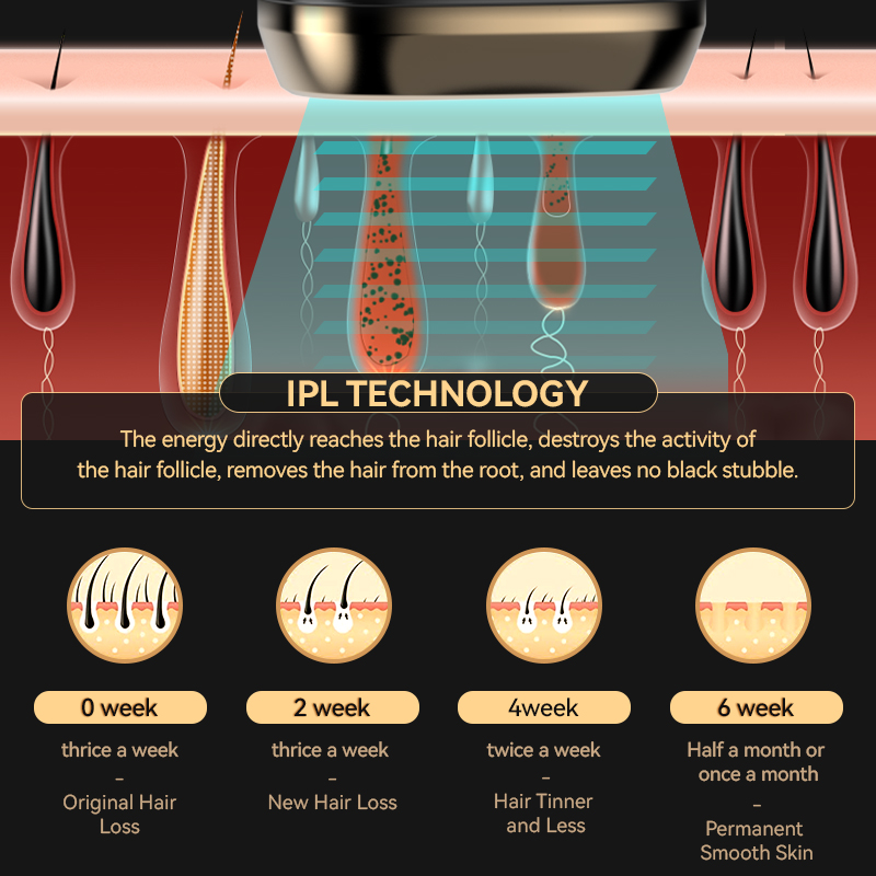 Permanent IPL Hair Removal Machine Skin Rejuvenation Armpit Small Ice Cooling Home Use Customized Label