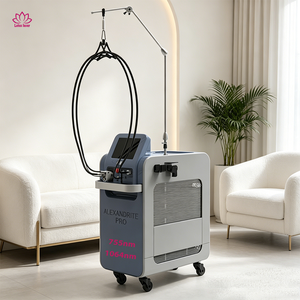 CE Certified Electrolysis Hair Removal Machine 4600W 755nm Alexandrite &amp; 1064nm Nd Yag For Salon Clinic Use 2 Years Warranty