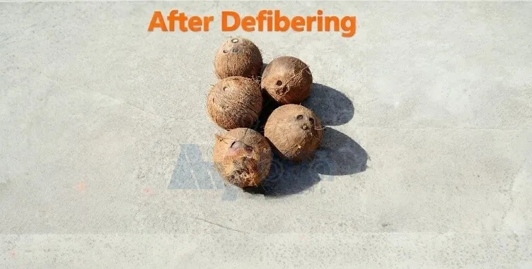 Coconut Dehairing Components