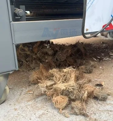 Coconut Processing Output