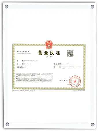 Certificate 8