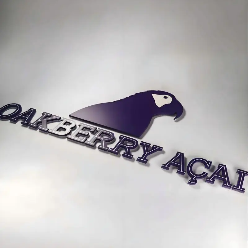 CE Certification Premium Rose Gold Stainless Steel Backlit House Numbers for Home Manufacturer, Products