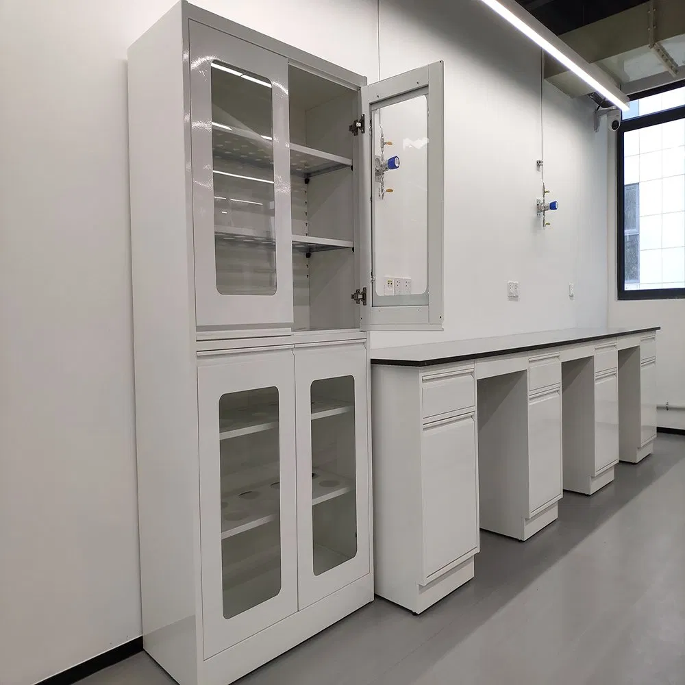 Armário de Medicina para Laboratório que Economiza Espaço com Portas Trancáveis para Segurança