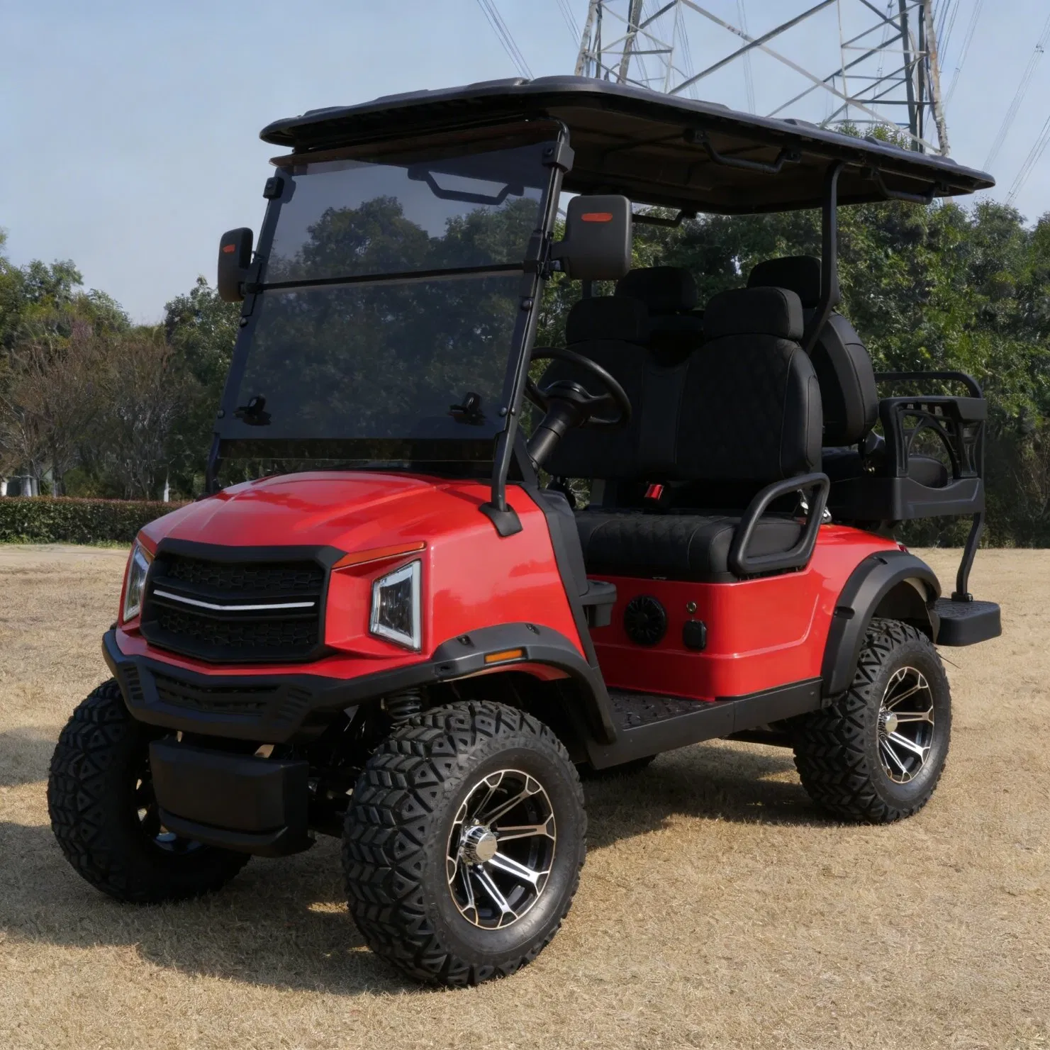 Venta Directa de Fábrica Carrito de Golf Eléctrico a Precio Barato
