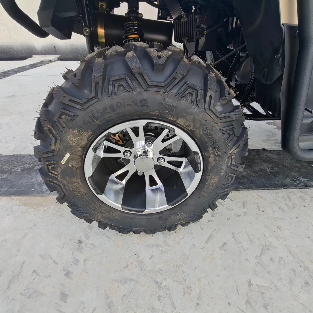 ATV 350cc Detalle 6