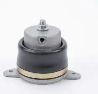 OEM Mc056299