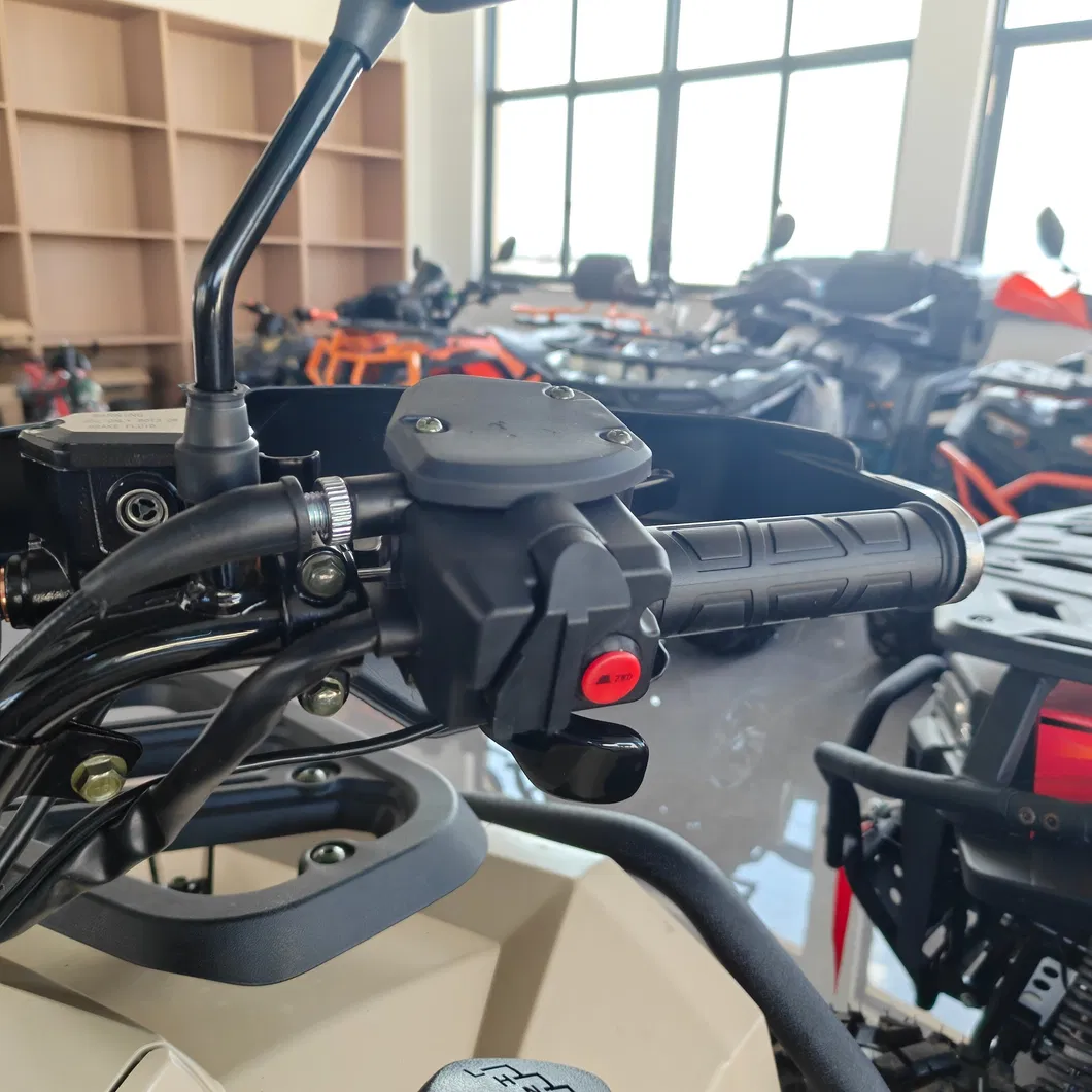 ATV 350cc Vista 1