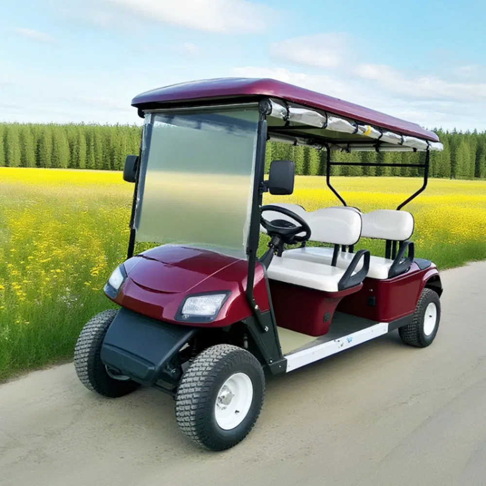 Aprobar CE Premium de Alta Calidad 4 Carrito de Golf Eléctrico con Batería de Litio 105ah LFP 4kw Motor de CA Suspensión de Doble Brazo