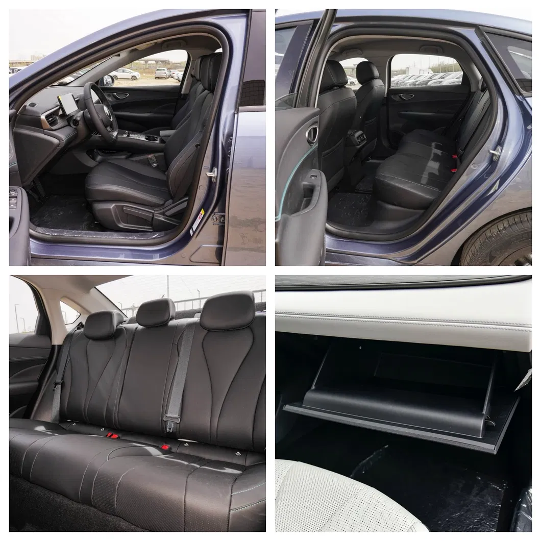 Seguridad BYD
