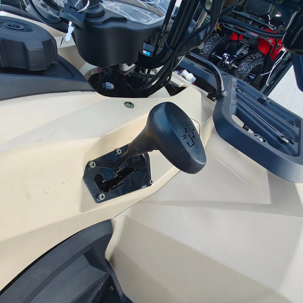 ATV 350cc Detalle 5