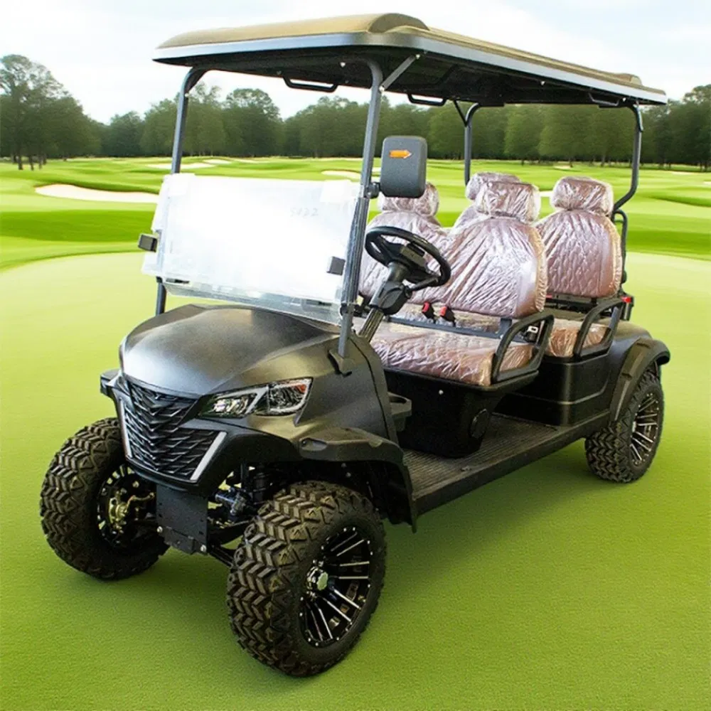 Aprobar CE Premium de Alta Calidad 4 Carrito de Golf Eléctrico con Batería de Litio 105ah LFP 4kw Motor de CA Suspensión de Doble Brazo