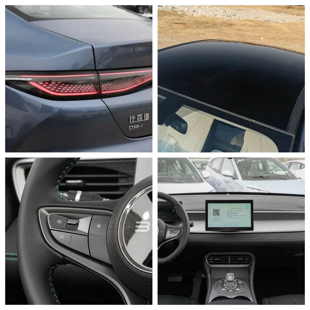 Interior BYD