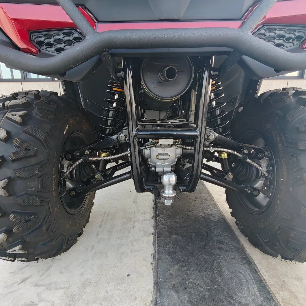 ATV 350cc Detalle 1