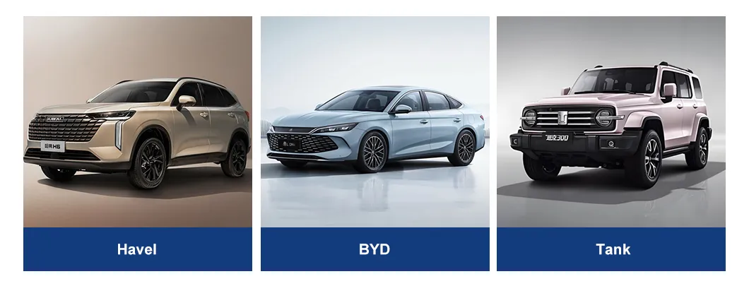 Detalle BYD 1