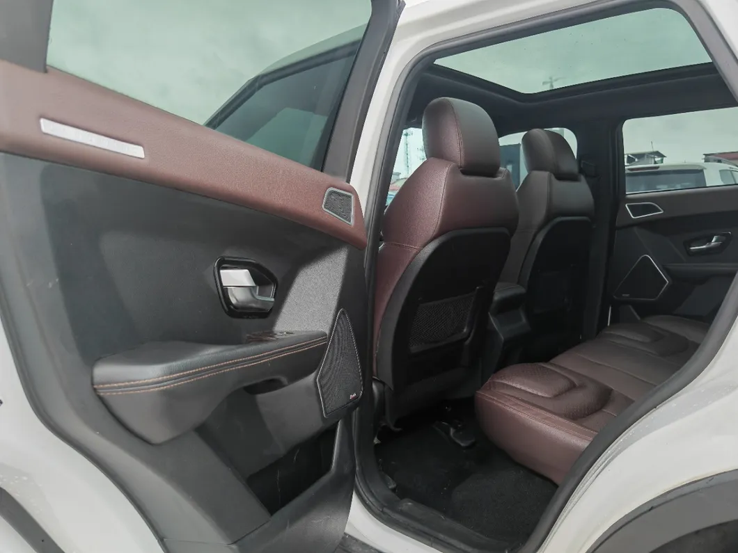Land Wind X7 Motor
