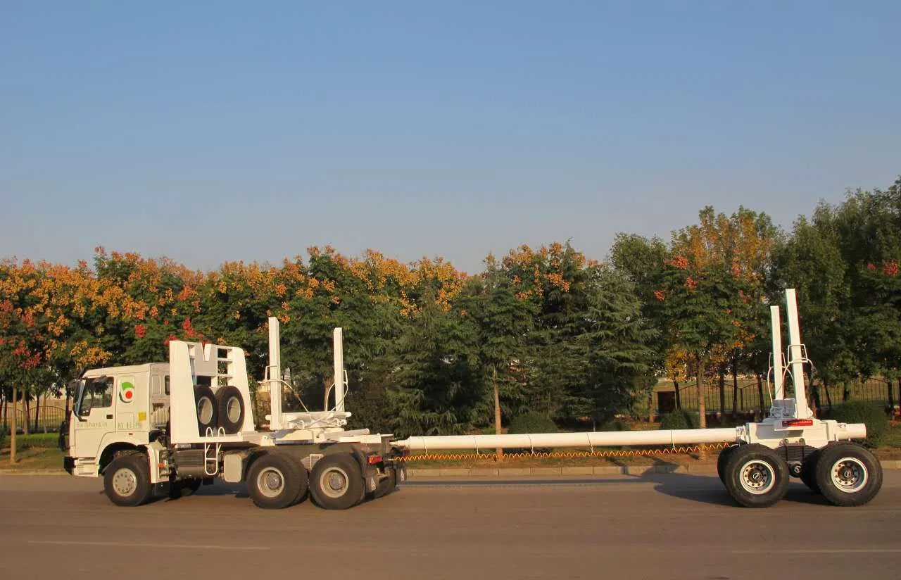Sinotruk HOWO 6× 4 8× 4 Log Transportation Truck Transporting Economic Timber Log Wood Timber Steel Logging Factory
