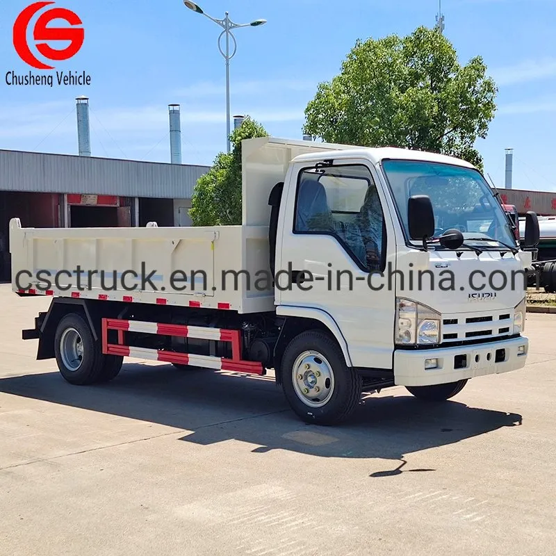 Small Dump Truck Front View