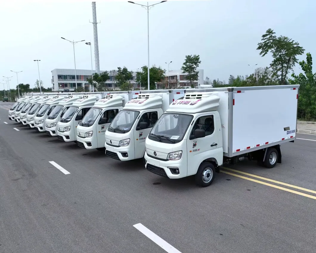 Refrigerated Truck Photo 2