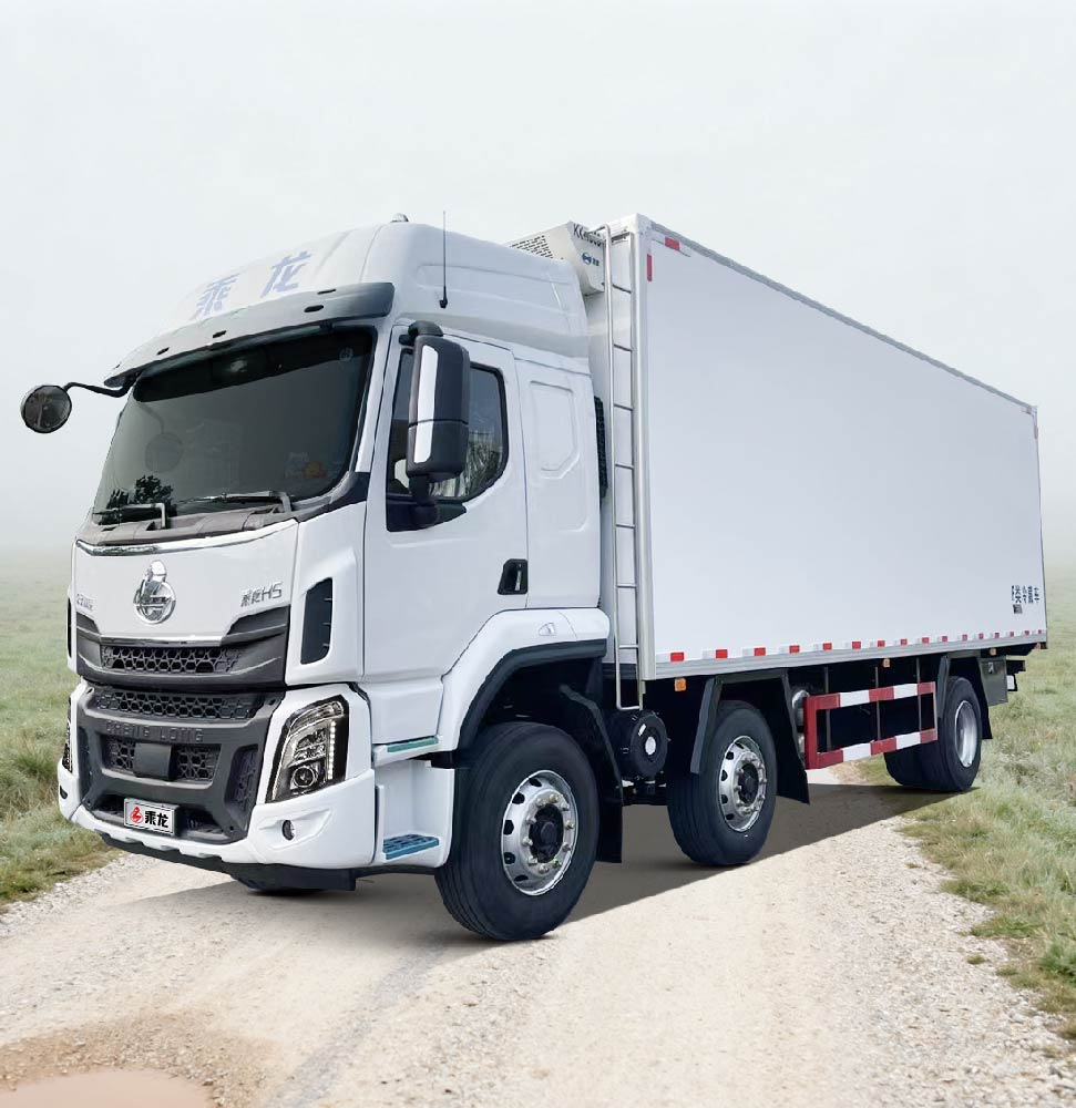 Chenglong H5 6X2 Refrigerated Truck for Timely Frozen and Fish Delivery