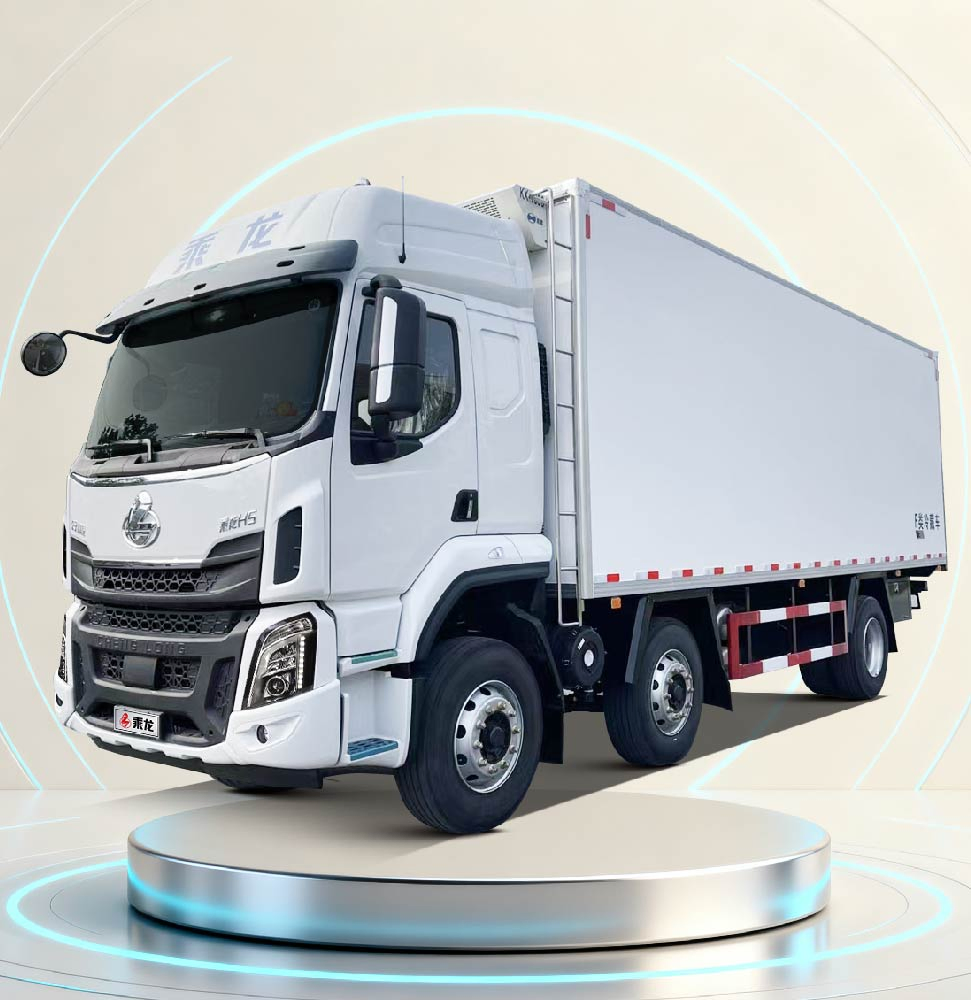 Chenglong H5 6X2 Refrigerated Truck for Timely Frozen and Fish Delivery