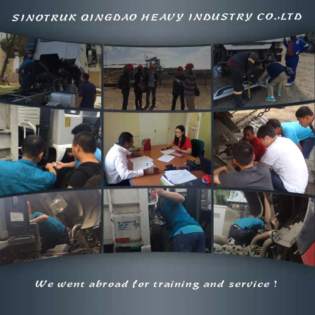 International Cooperation