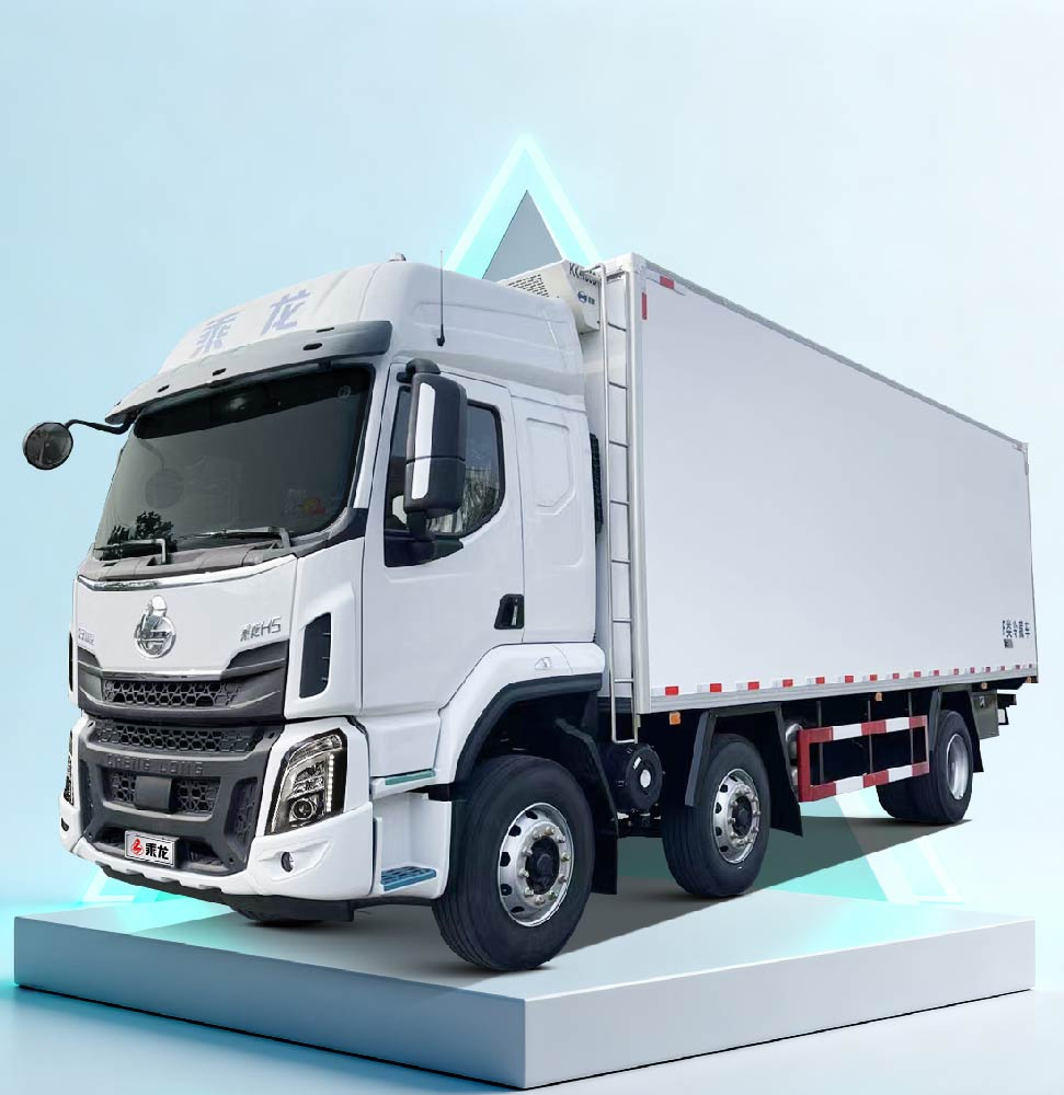 Chenglong H5 6X2 Refrigerated Truck for Timely Frozen and Fish Delivery